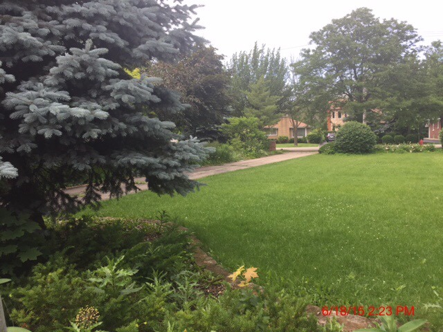 1017 Shermer Road Northbrook, IL 60062 - Photo 5 of 10