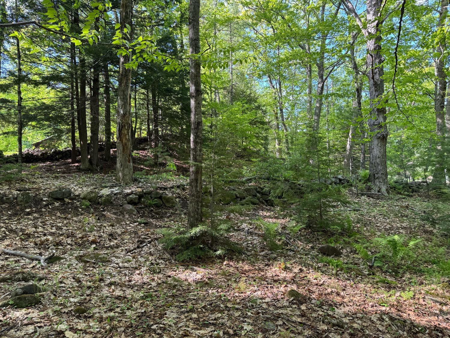 0 Peaked Hill Road Bristol, NH 03222 - Photo 10 of 33