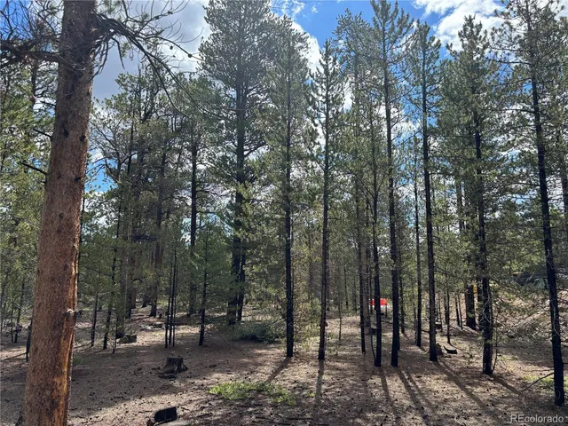 a view of outdoor space with lots of trees