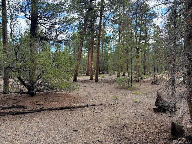 a view of outdoor space with trees