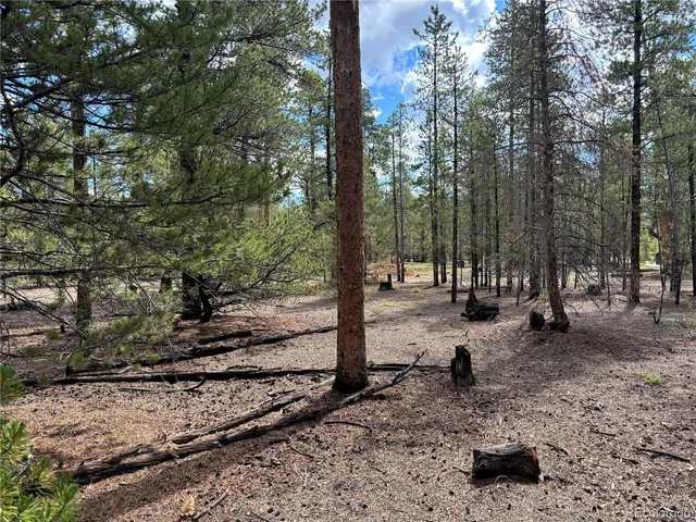 a view of a park with large trees