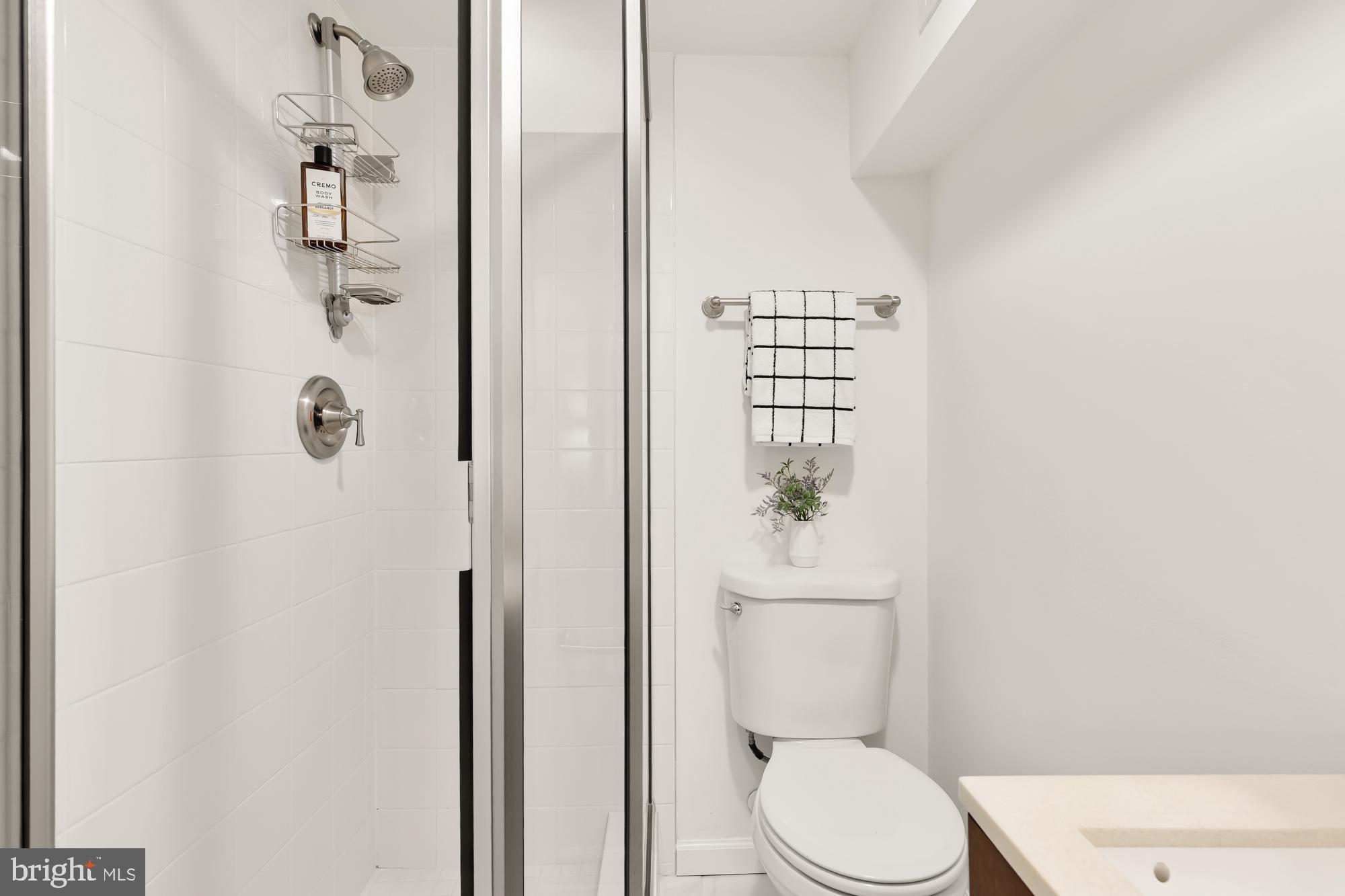 316 Elm Street Northwest Washington, DC 20001 - Photo 39 of 43 a bathroom with a toilet and a shower