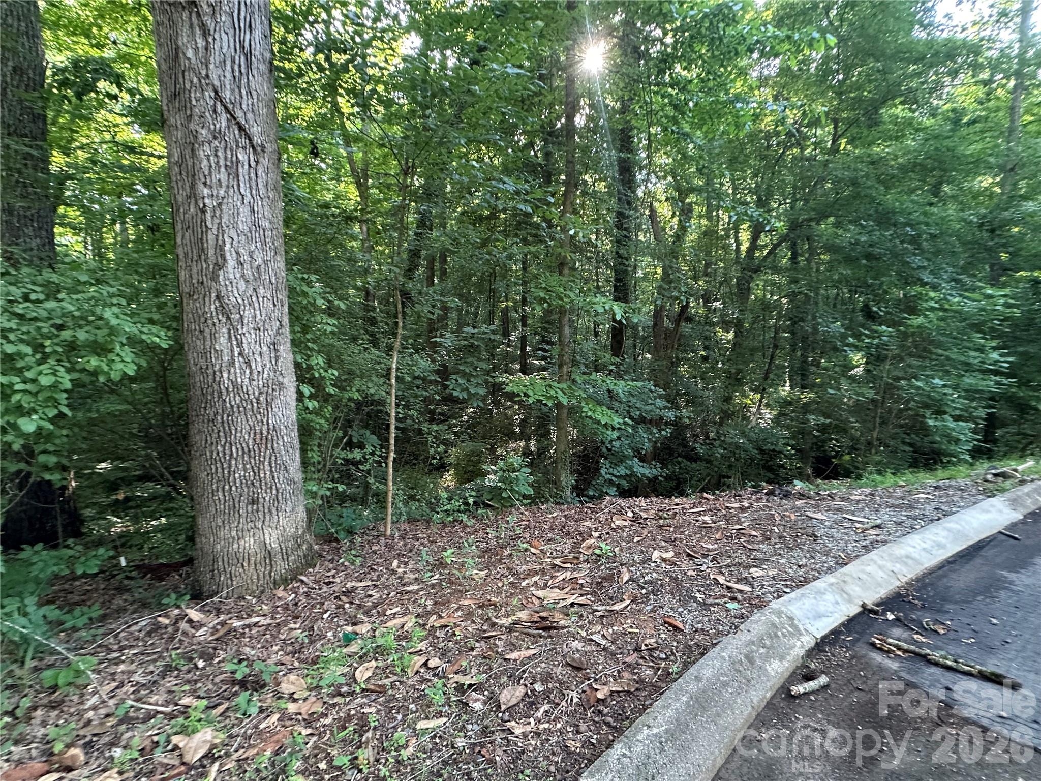 0 Briarcliff Road Rockwell, NC 28138 - Photo 17 of 25
