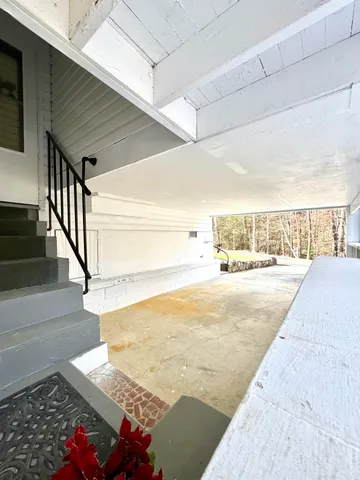 a view of a pathway of a forest