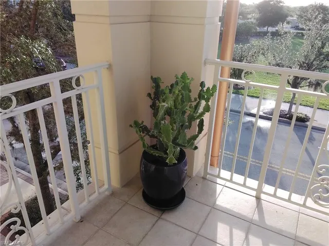 a potted plant sitting on the outside of a building