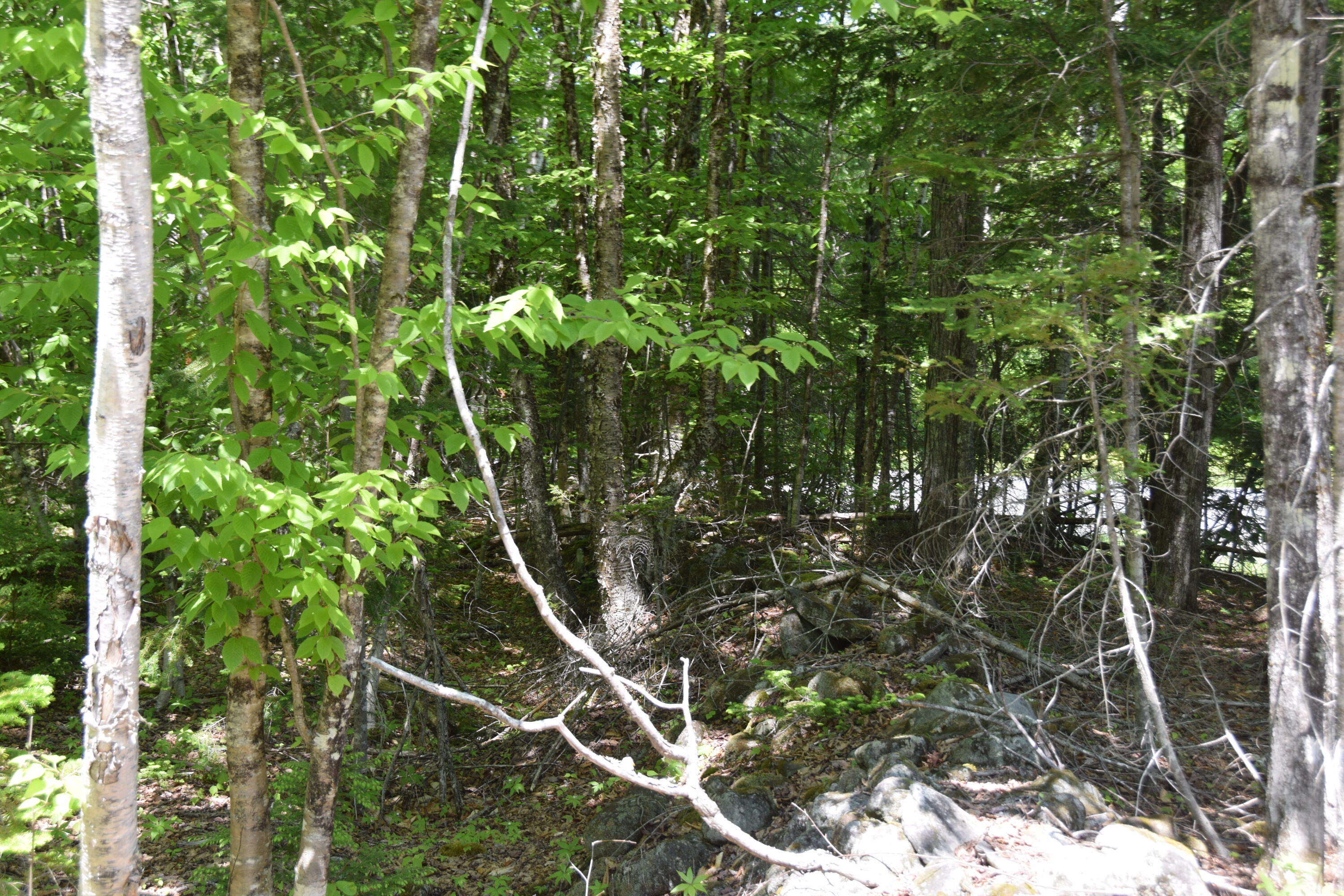 M7-l1-4 Pine Bluff Road Embden, ME 04958 - Photo 13 of 21 DSC_0017