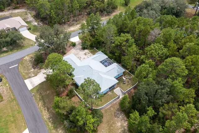 an aerial view of a house with a yard and a large tree