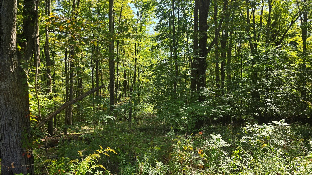 93 Talerico Road Horseheads, NY 14845 - Photo 47 of 50