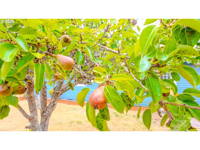 $370,000 | 1710 Johnson Street, North Bend, OR 97459