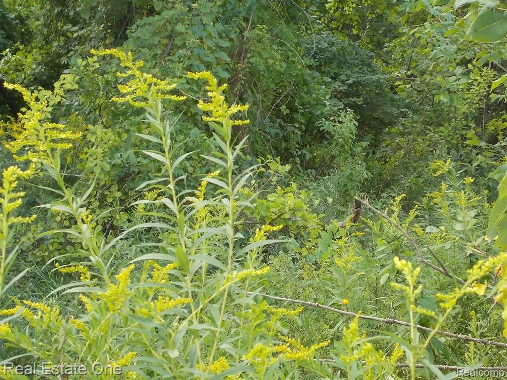 0 North Lake George Road Oakland, MI 48363 - Photo 49 of 55