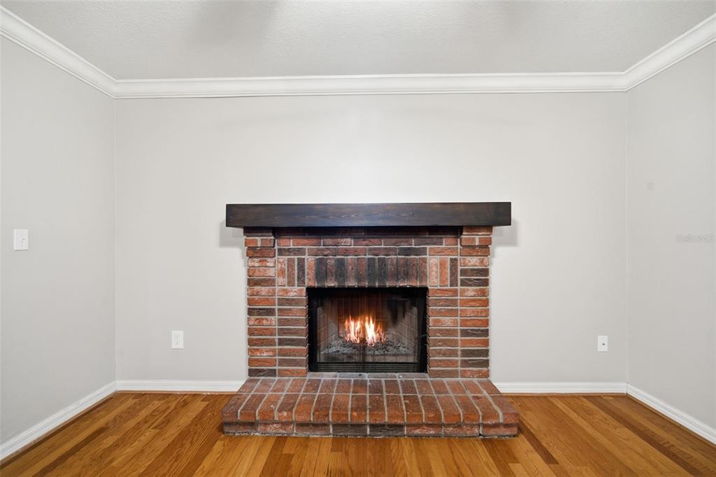 4107 Fallon Court Brandon, FL 33511 - Photo 7 of 60