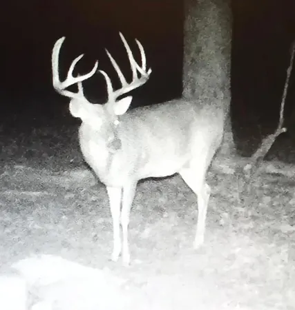 $799,000 | 6888 Fm 2888, Naples, TX 75568