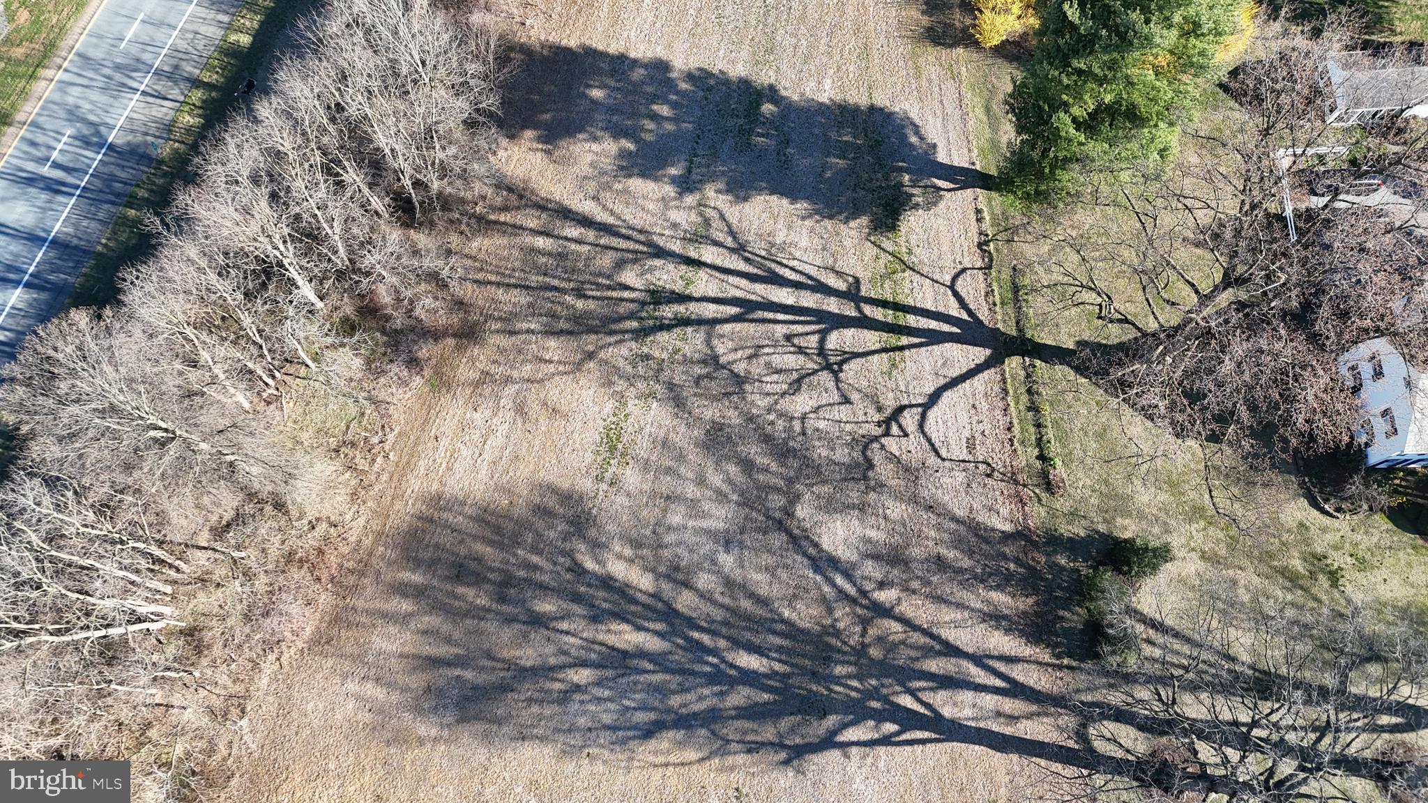 1217 Hunsicker Road Lancaster, PA 17601 - Photo 3 of 10 a picture of tree