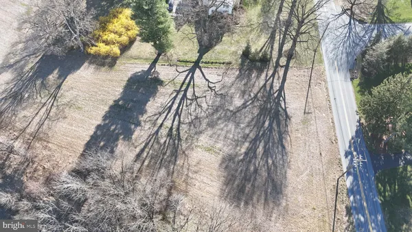 a view of a yard with plants and trees