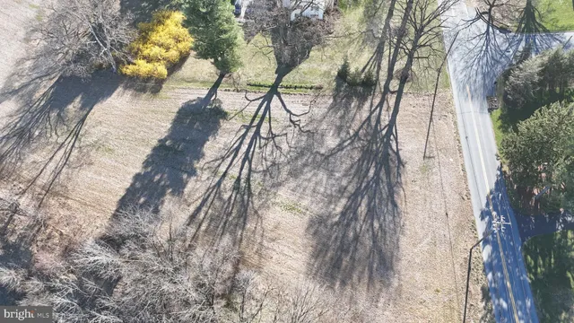 a view of a yard with plants and trees