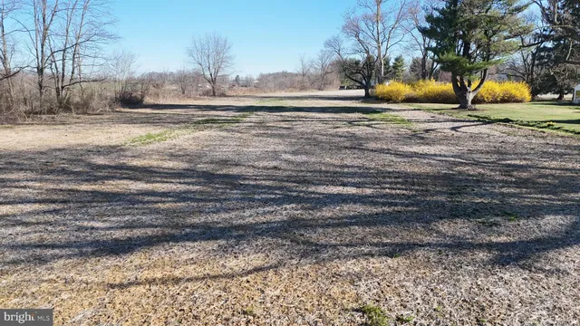 a view of a yard with large trees