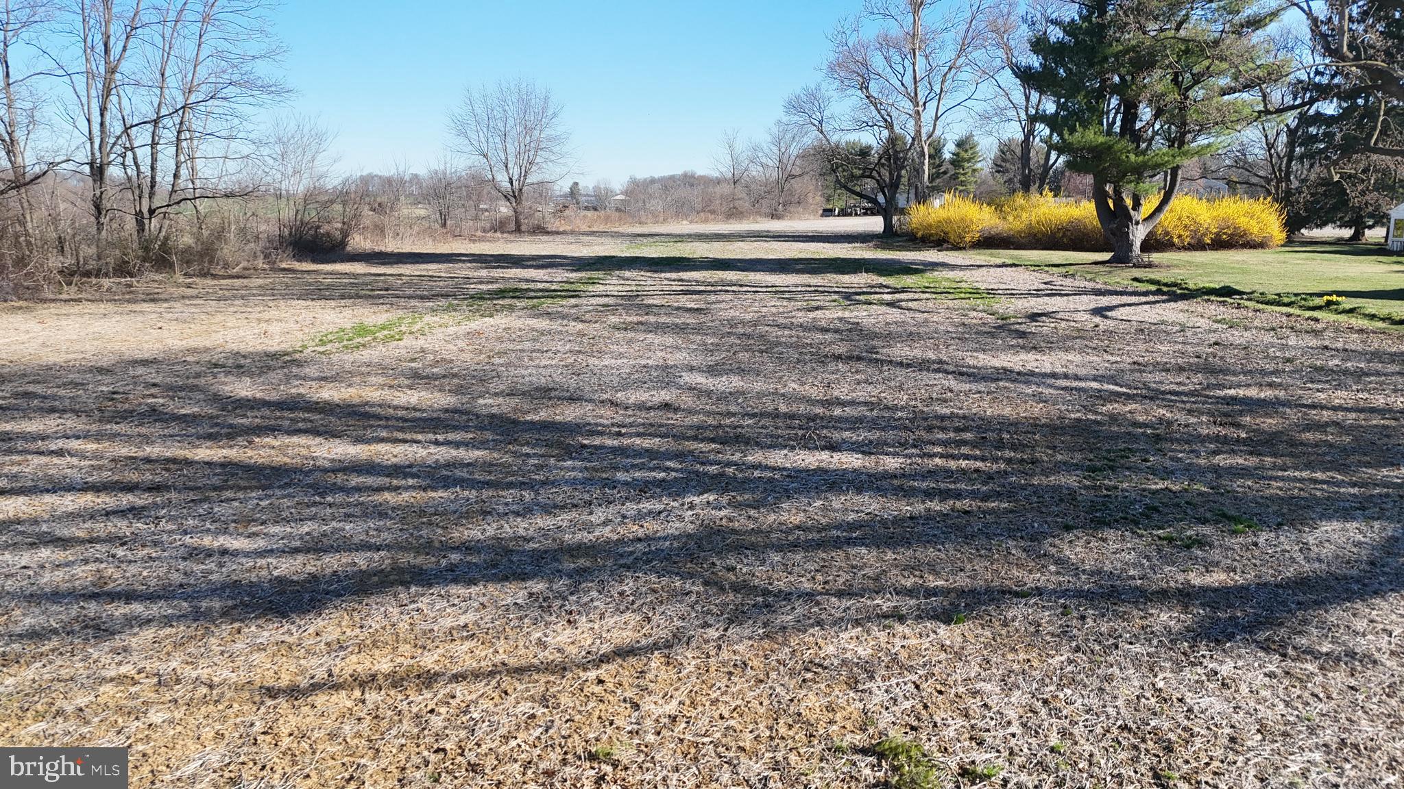 1217 Hunsicker Road Lancaster, PA 17601 - Photo 7 of 10 a view of a yard with large trees