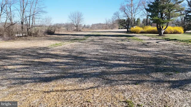 a view of yard with tree