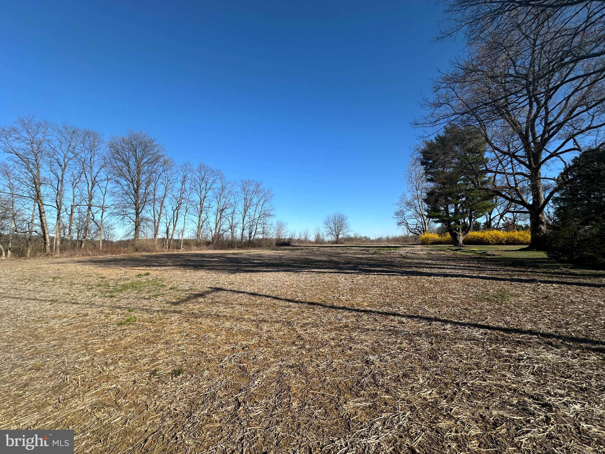 1217 Hunsicker Road Lancaster, PA 17601 - Photo 10 of 10 a view of lake view with large trees
