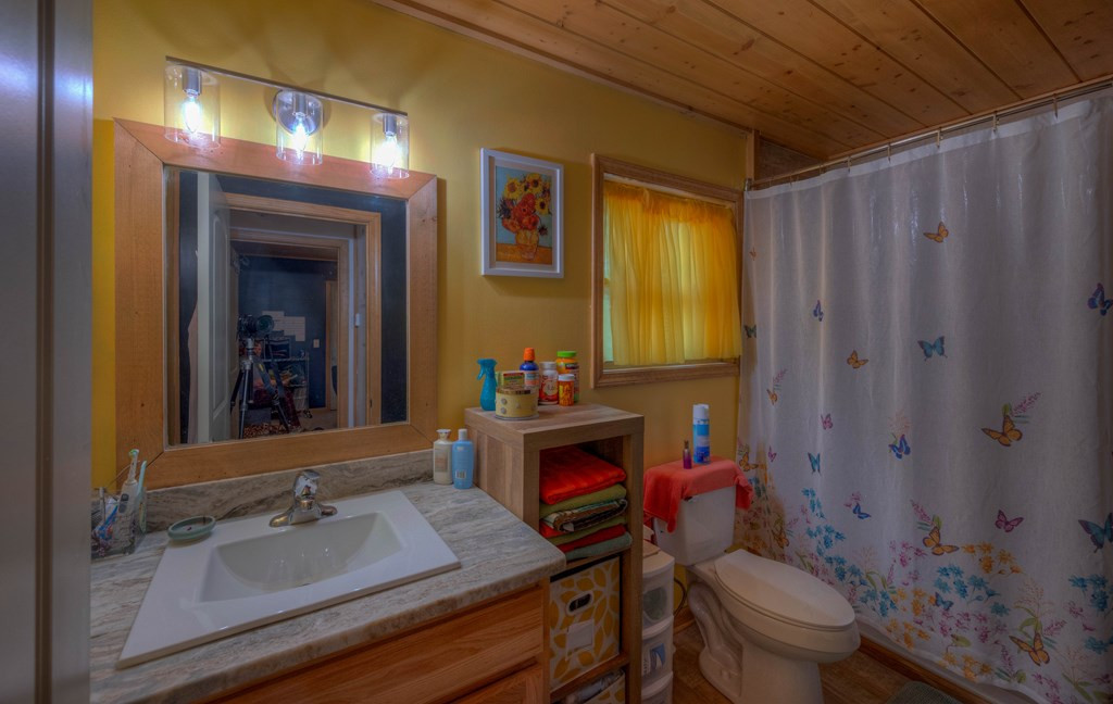 361 Tall Timber Road Murphy, NC 28906 - Photo 19 of 25