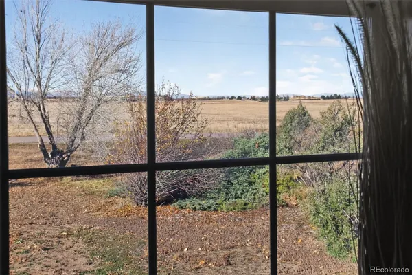 a view of a room with a large window and tree