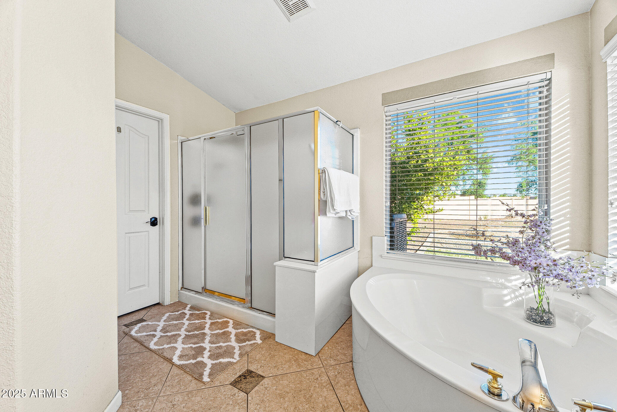 335 South Red Rock Street Gilbert, AZ 85296 - Photo 13 of 26 027_south_red_rock-23_697