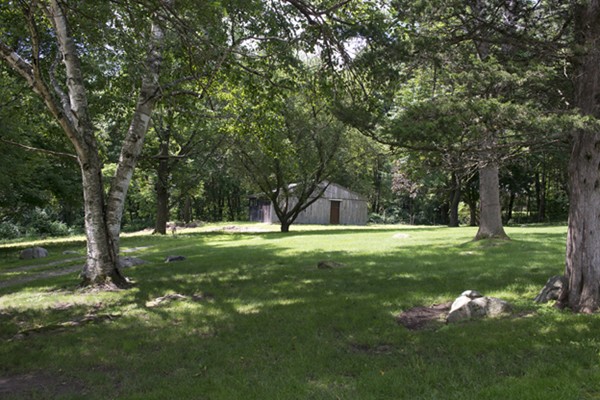 666 Kennedy Road Northampton, MA 01053 - Photo 28 of 30 a view of a tree in a yard