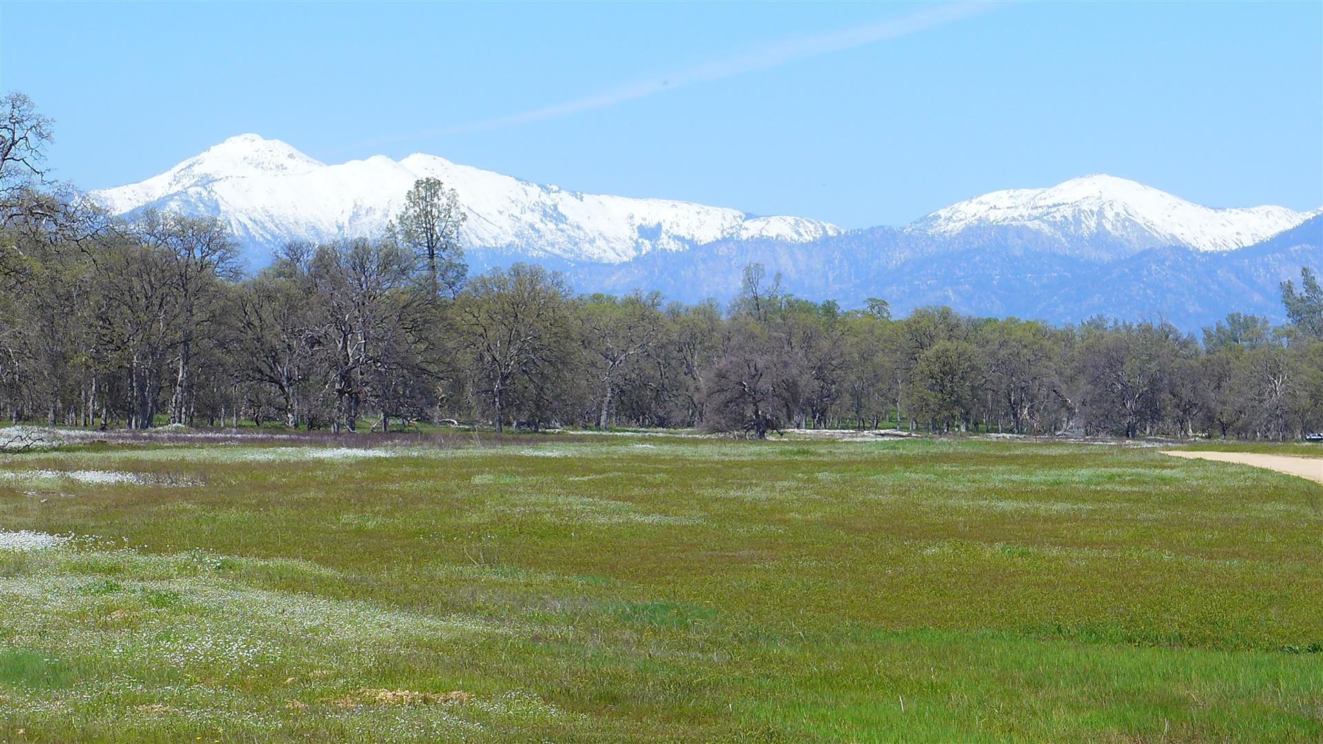 Two 2 Feathers Road Cottonwood, CA 96022 - Photo 1 of 11 Property
