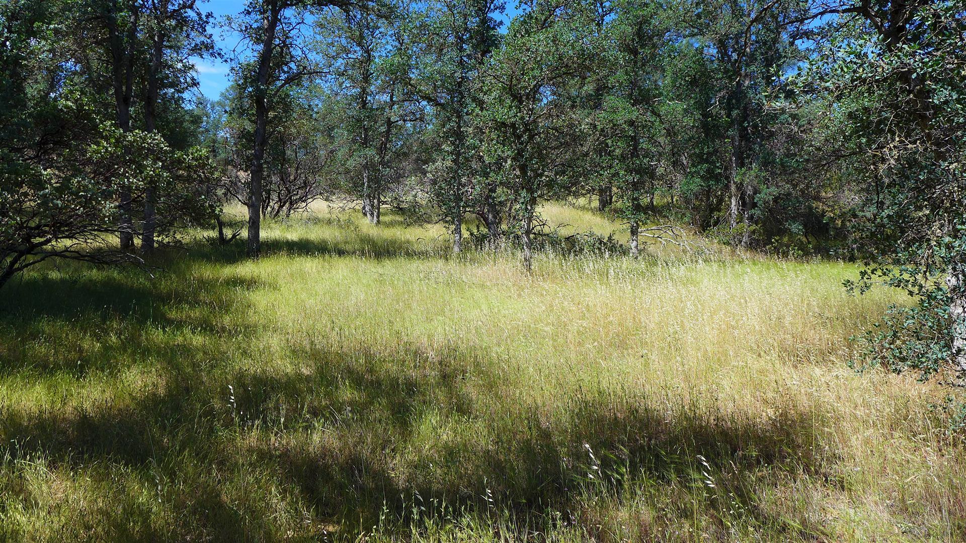 Two 2 Feathers Road Cottonwood, CA 96022 - Photo 11 of 11 z