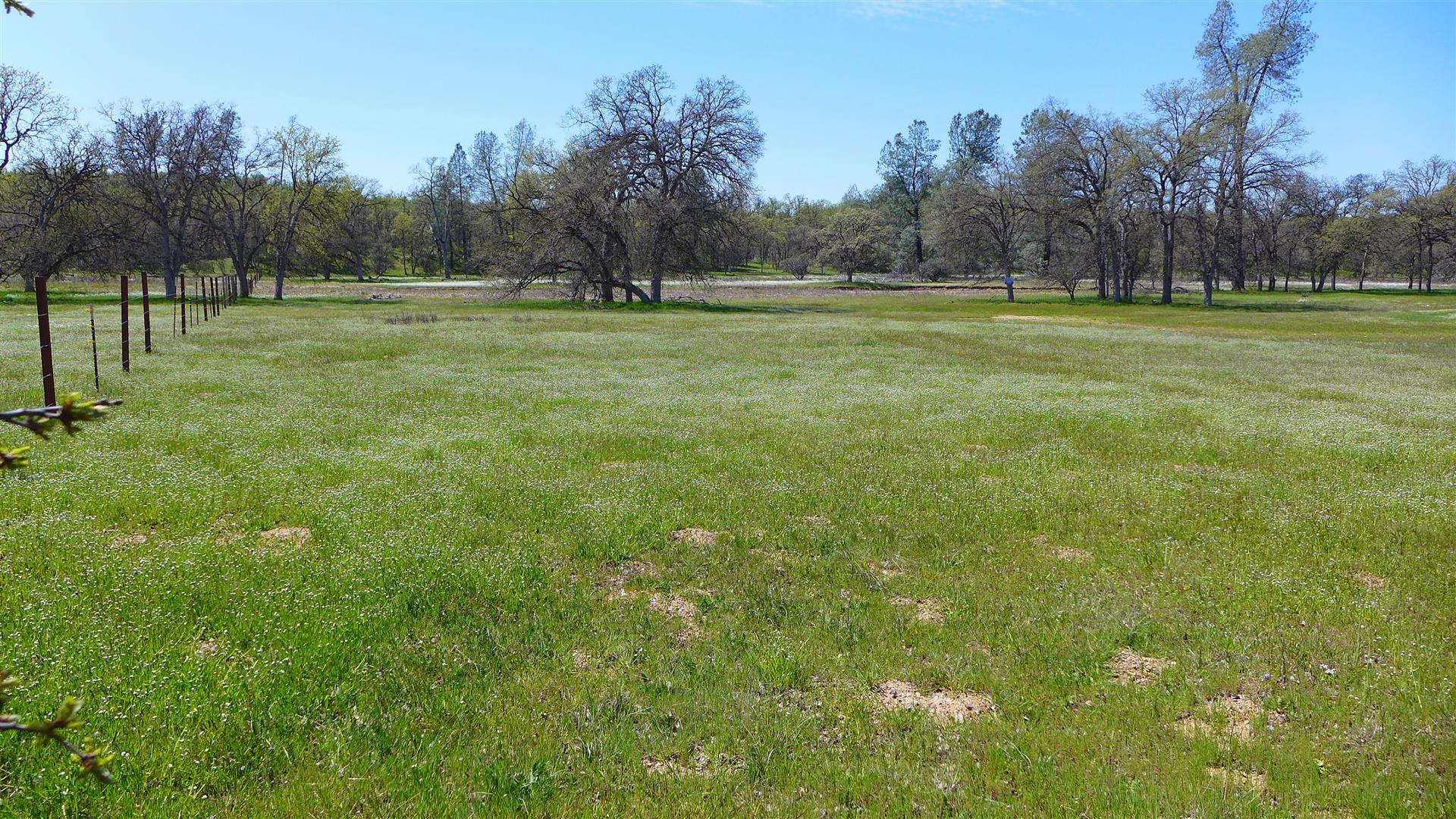 Two 2 Feathers Road Cottonwood, CA 96022 - Photo 3 of 11 P1080596