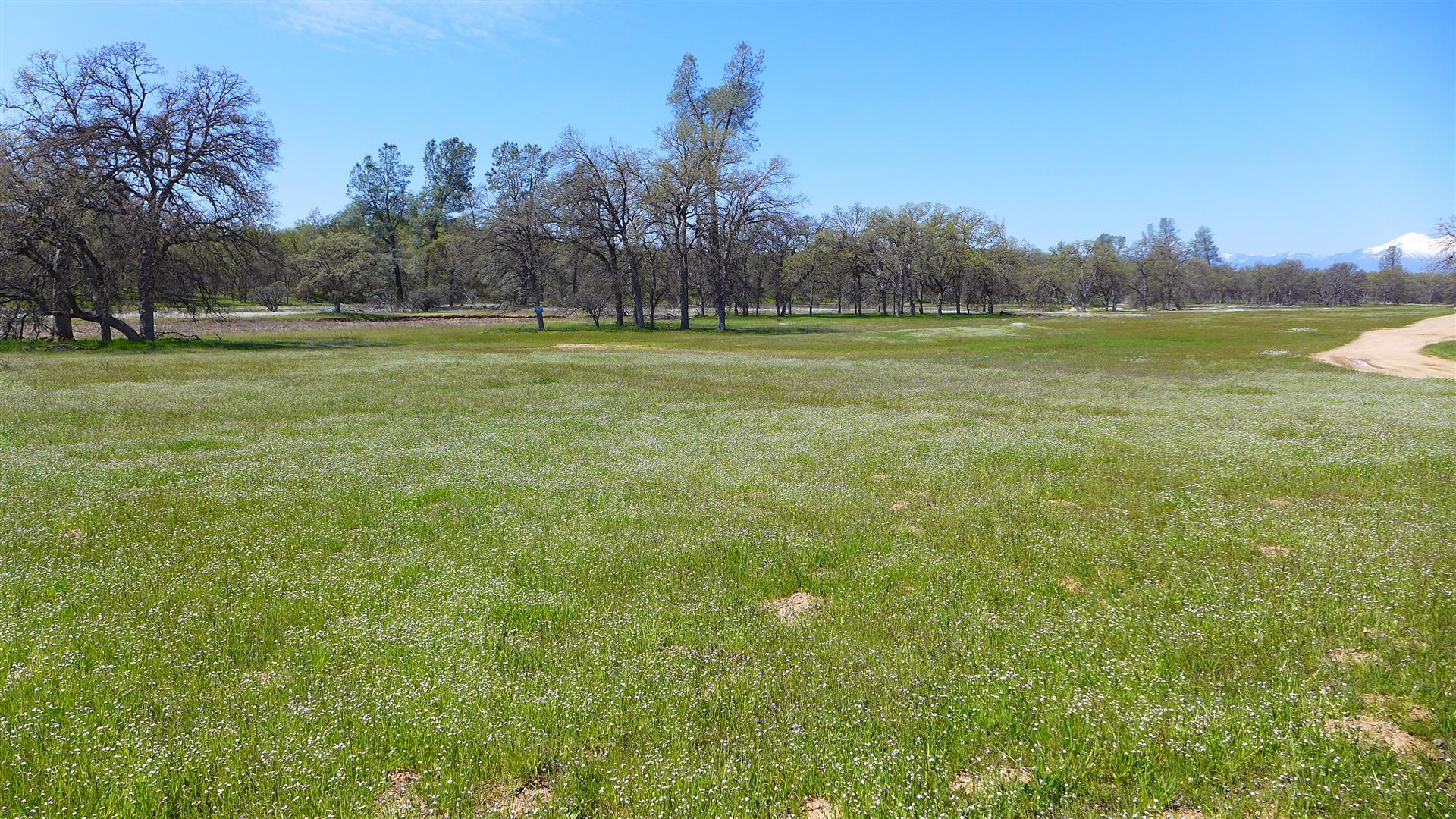 Two 2 Feathers Road Cottonwood, CA 96022 - Photo 4 of 11 P1080597