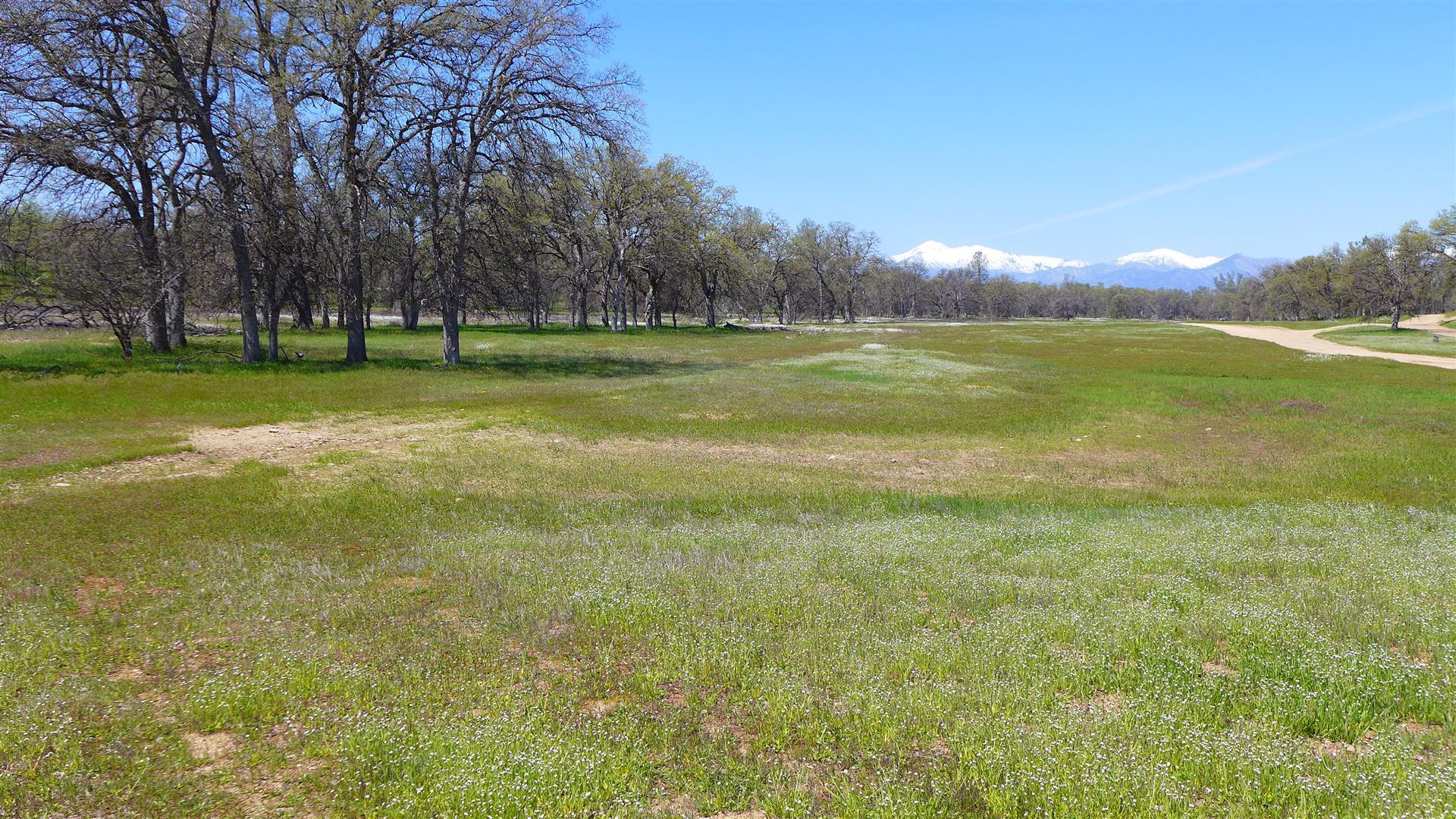 Two 2 Feathers Road Cottonwood, CA 96022 - Photo 5 of 11 P1080598