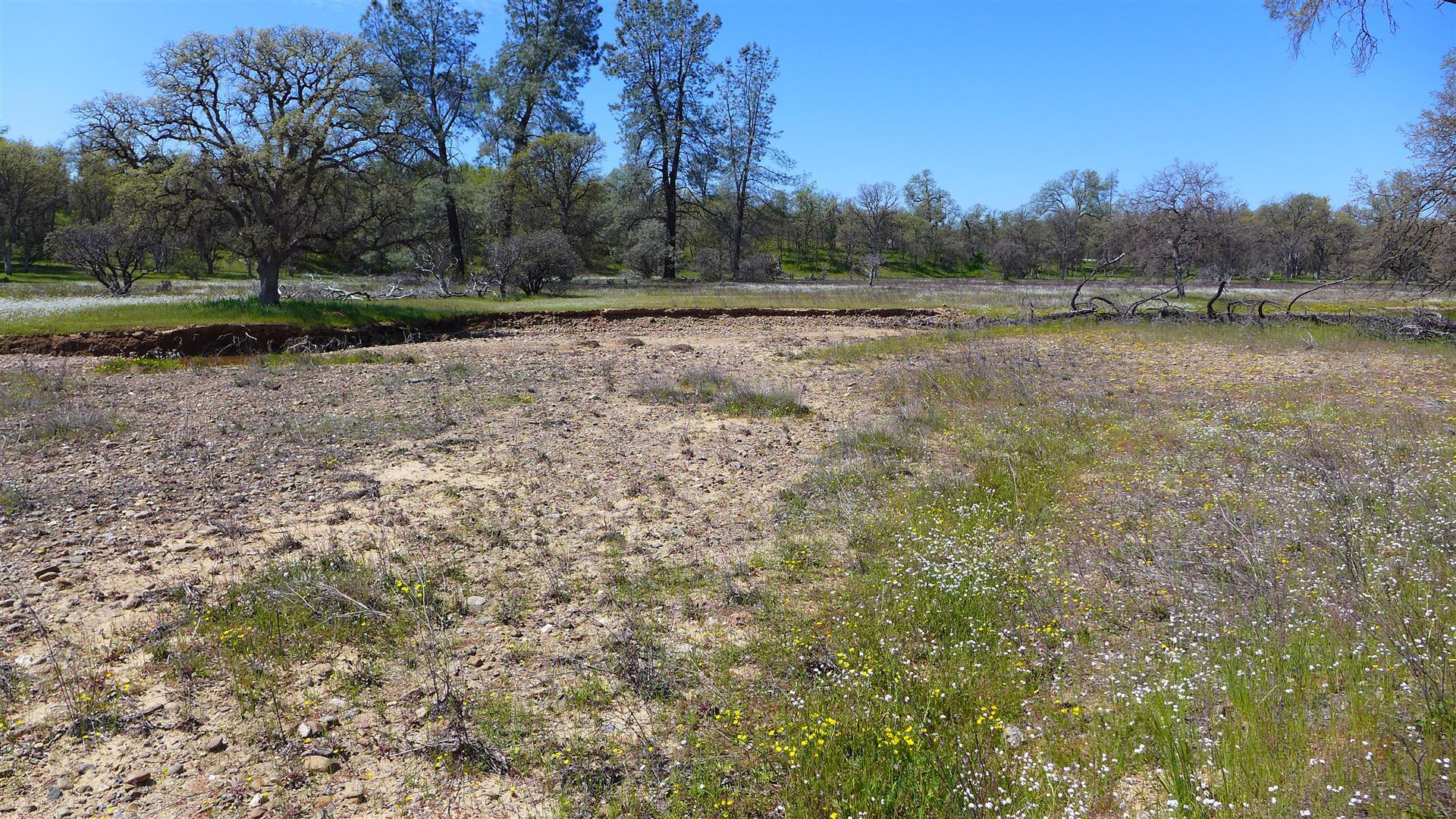 Two 2 Feathers Road Cottonwood, CA 96022 - Photo 6 of 11 P1080601