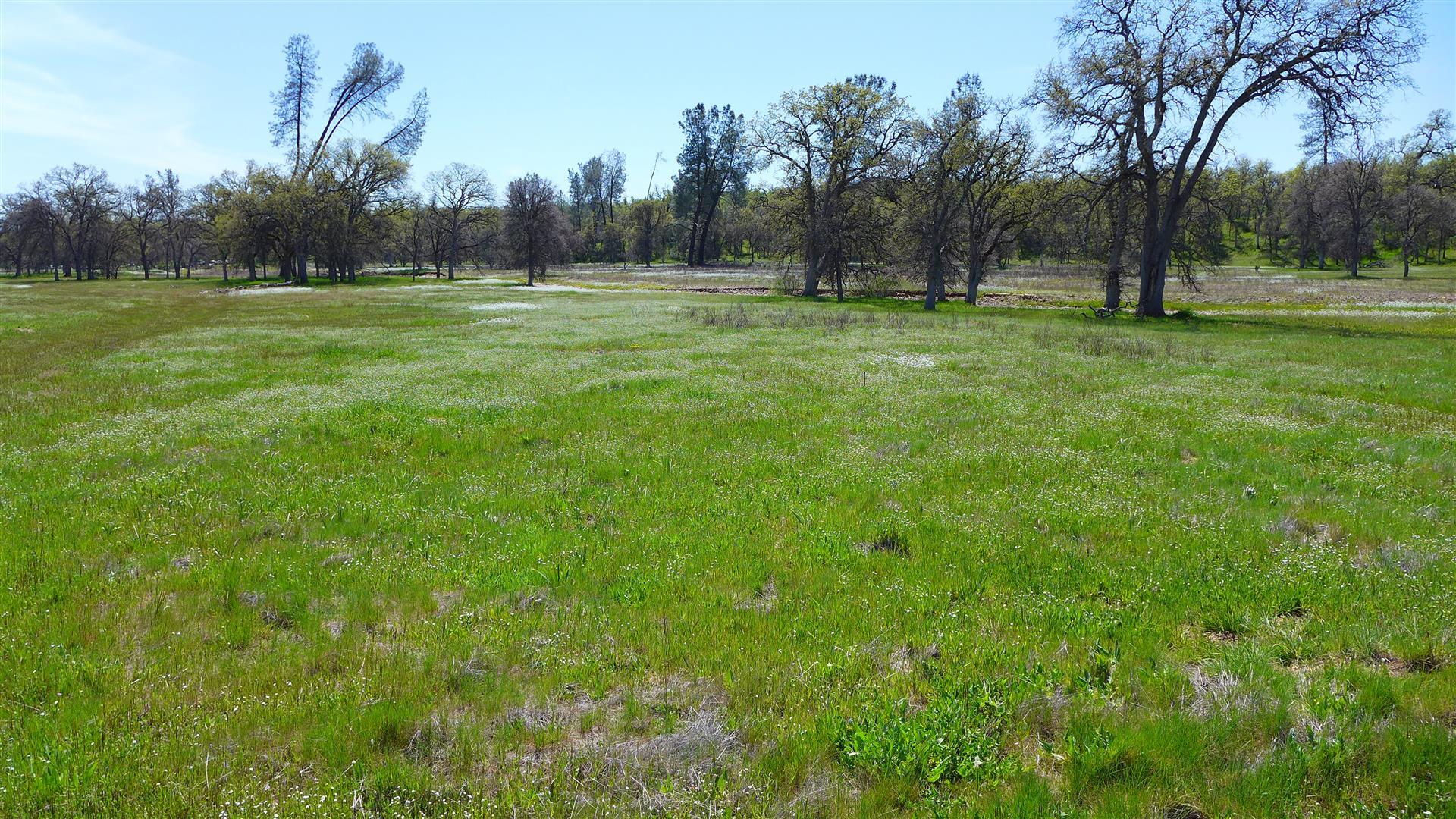 Two 2 Feathers Road Cottonwood, CA 96022 - Photo 9 of 11 P1080606