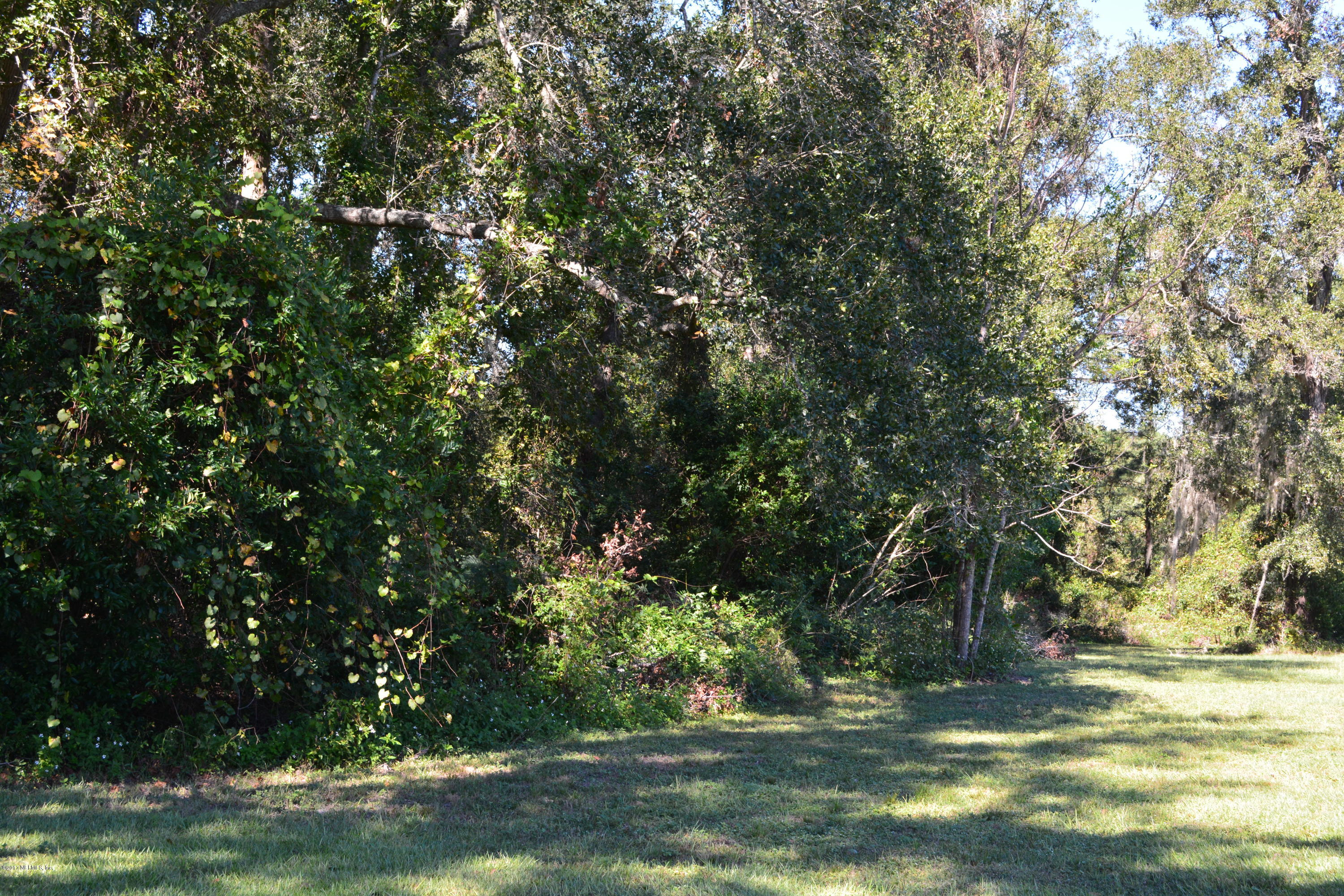 5345 Eva Jones Road Macclenny, FL 32063 - Photo 17 of 22 a view of a yard with large trees
