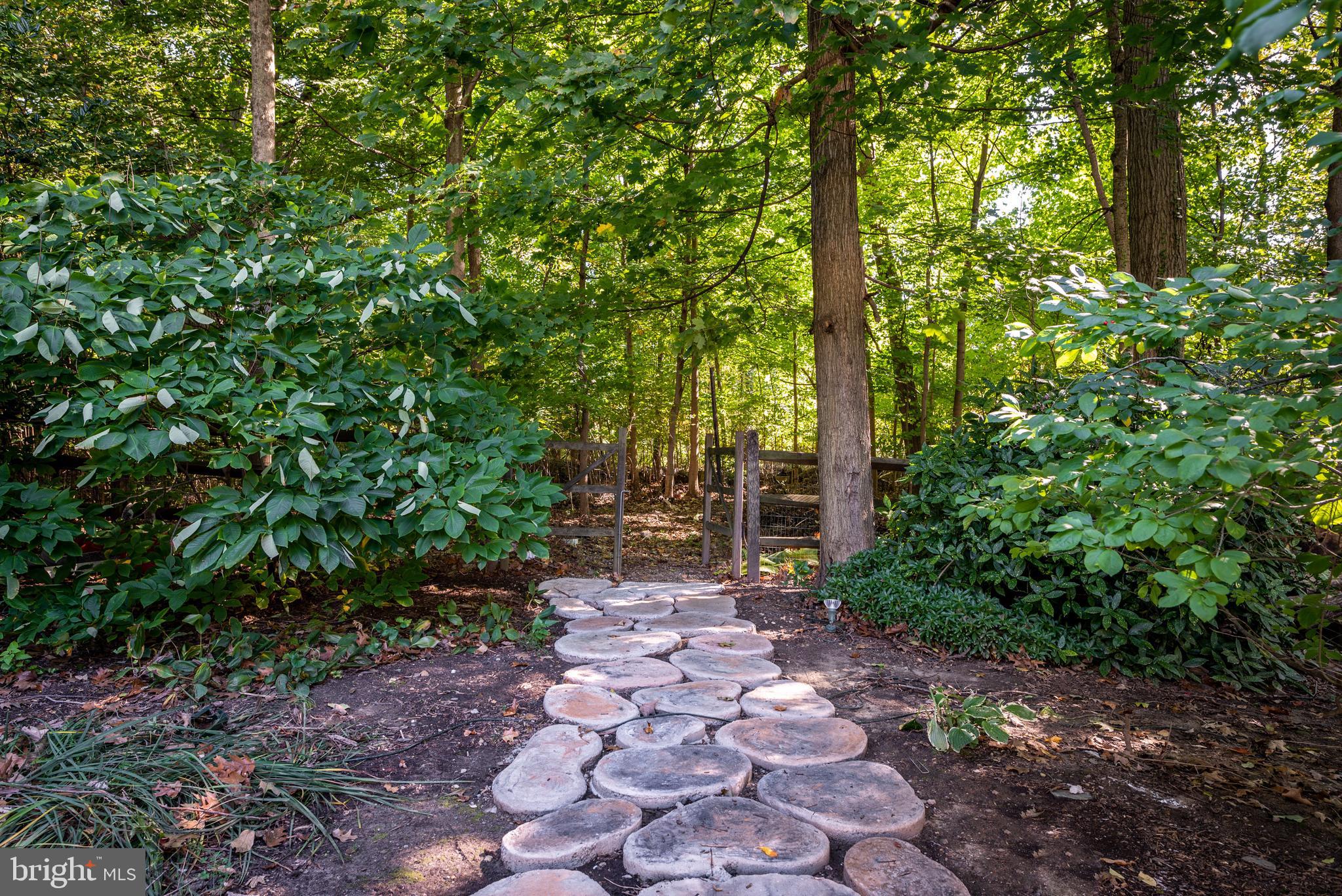227 Rogers Lane Wallingford, PA 19086 - Photo 38 of 52 Path to Yard Beyond the Yard!
