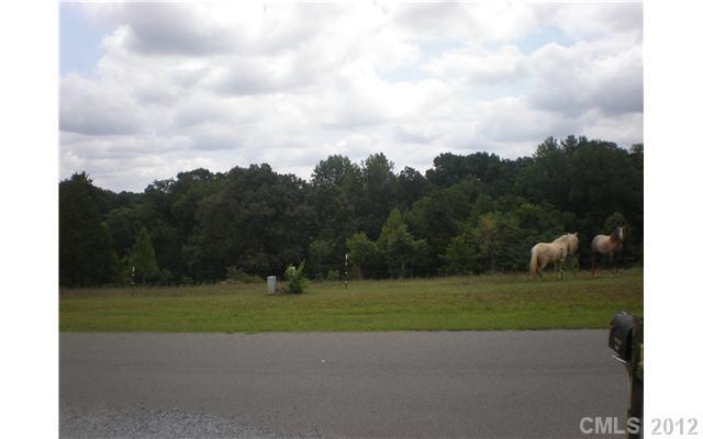 27023 Crepts Branch Road Locust, NC 28097 - Photo 10 of 10 Gallery Image 10