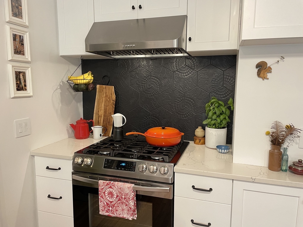 75 Rossmore Road, Unit 5 Boston, MA 02130 - Photo 3 of 16 Gallery Image 3