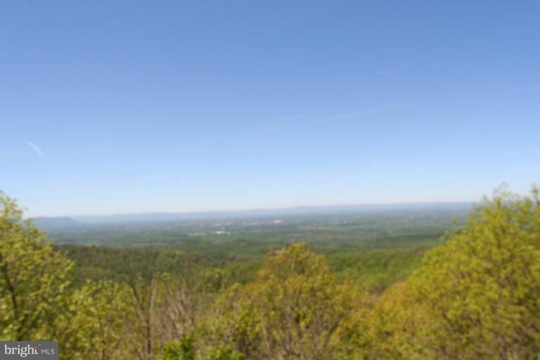 4837 Blue Mountain Road Linden, VA 22642 - Photo 9 of 14 Community Amenities 3