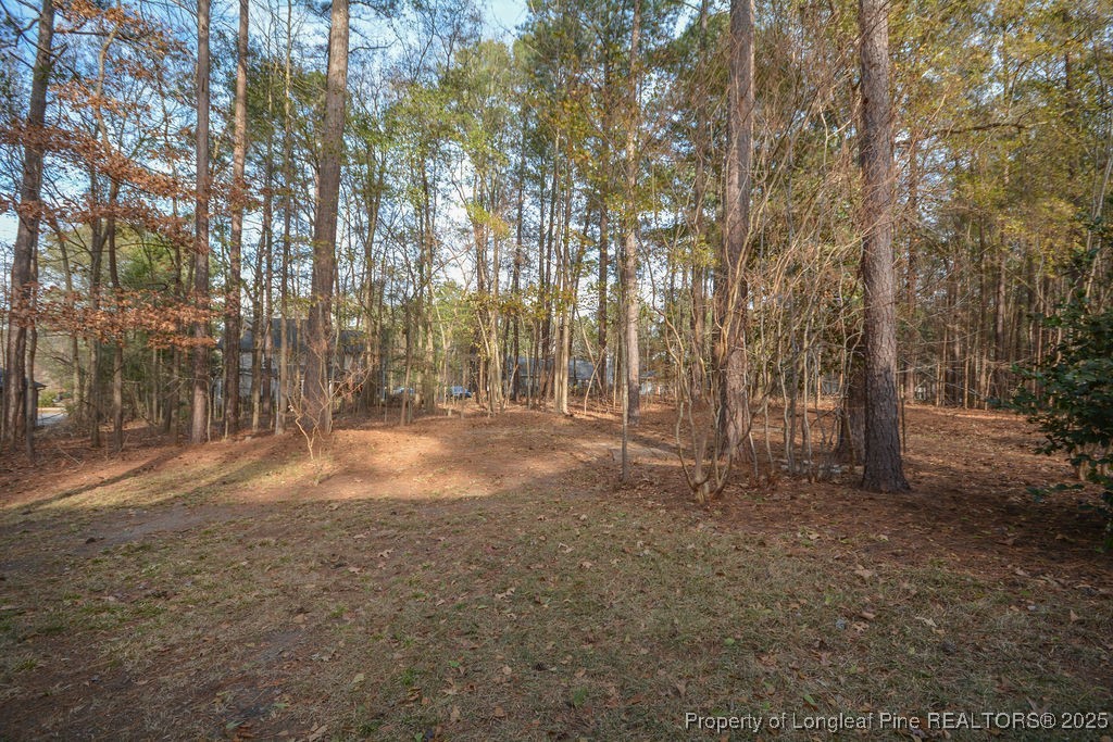 31 Crystal Point Sanford, NC 27332 - Photo 42 of 50