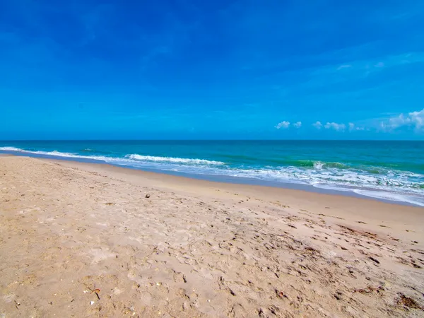 $5,500 | 5101 Florida A1A, Unit 109, Vero Beach, FL 32963