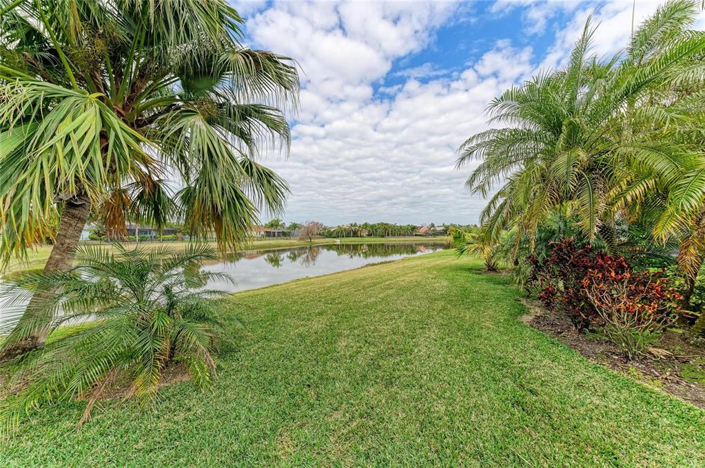 302 Cockle Shell Loop Apollo Beach, FL 33572 - Photo 63 of 75 a view of backyard with outdoor and green space