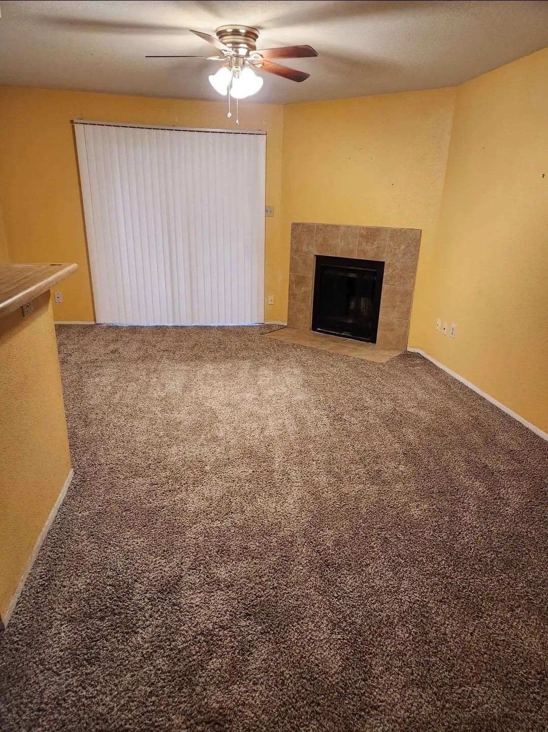 6001 Reims Road, Unit 411 Houston, TX 77036 - Photo 3 of 8 a view of an empty room with a fireplace