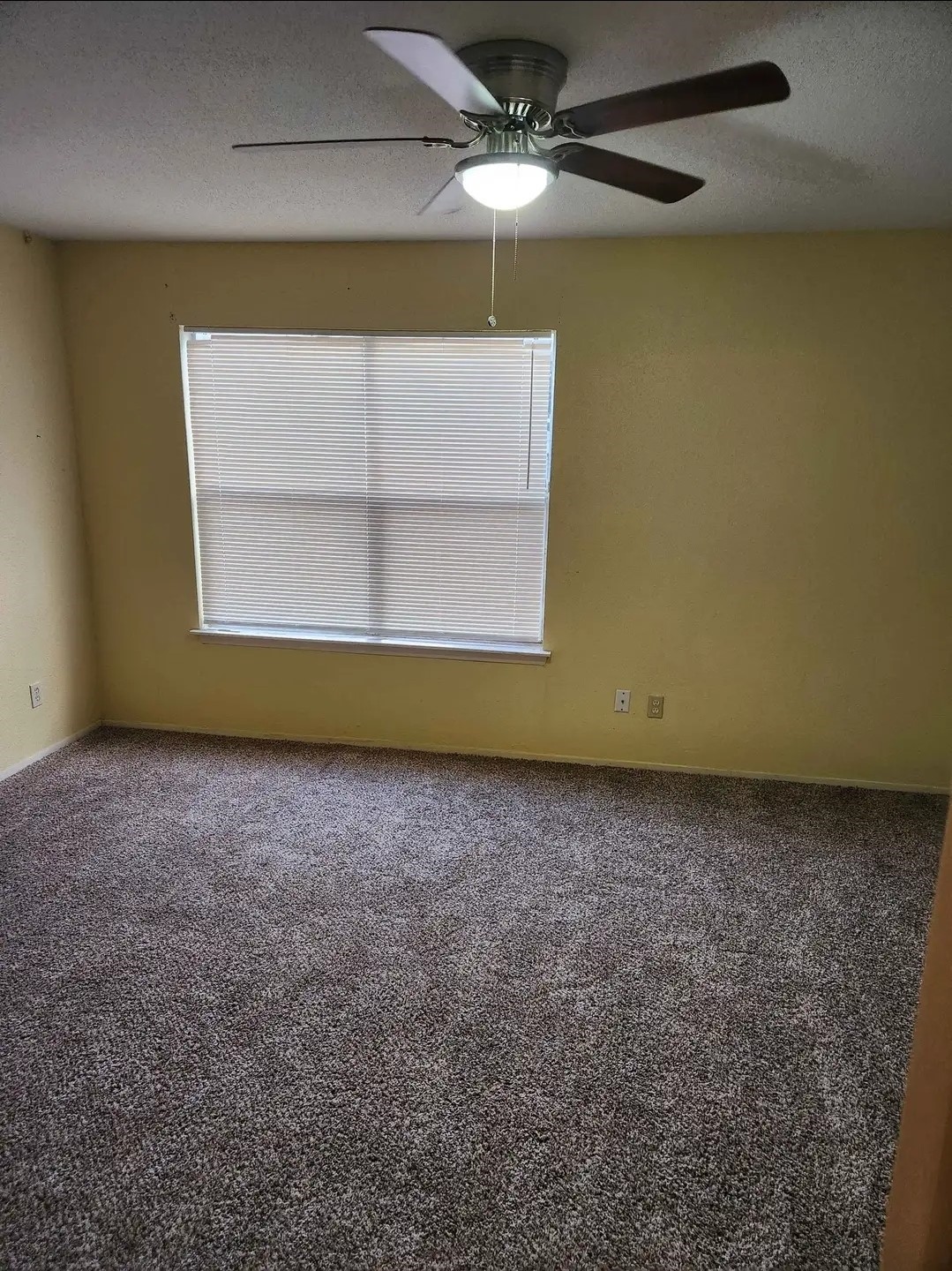 6001 Reims Road, Unit 411 Houston, TX 77036 - Photo 7 of 8 a view of a room with a ceiling fan and a window