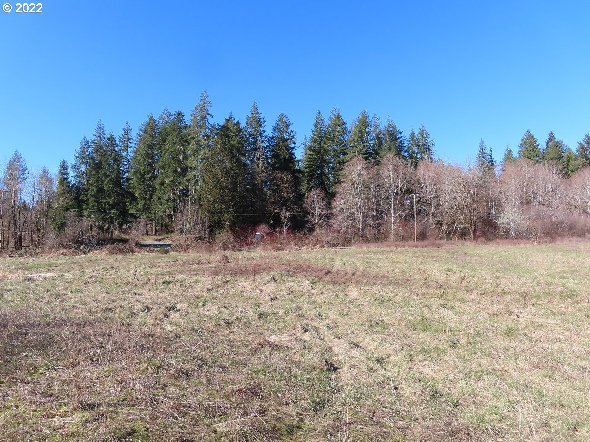 West Schafer Road Elma, WA 98541 - Photo 11 of 25 Gallery Image 11