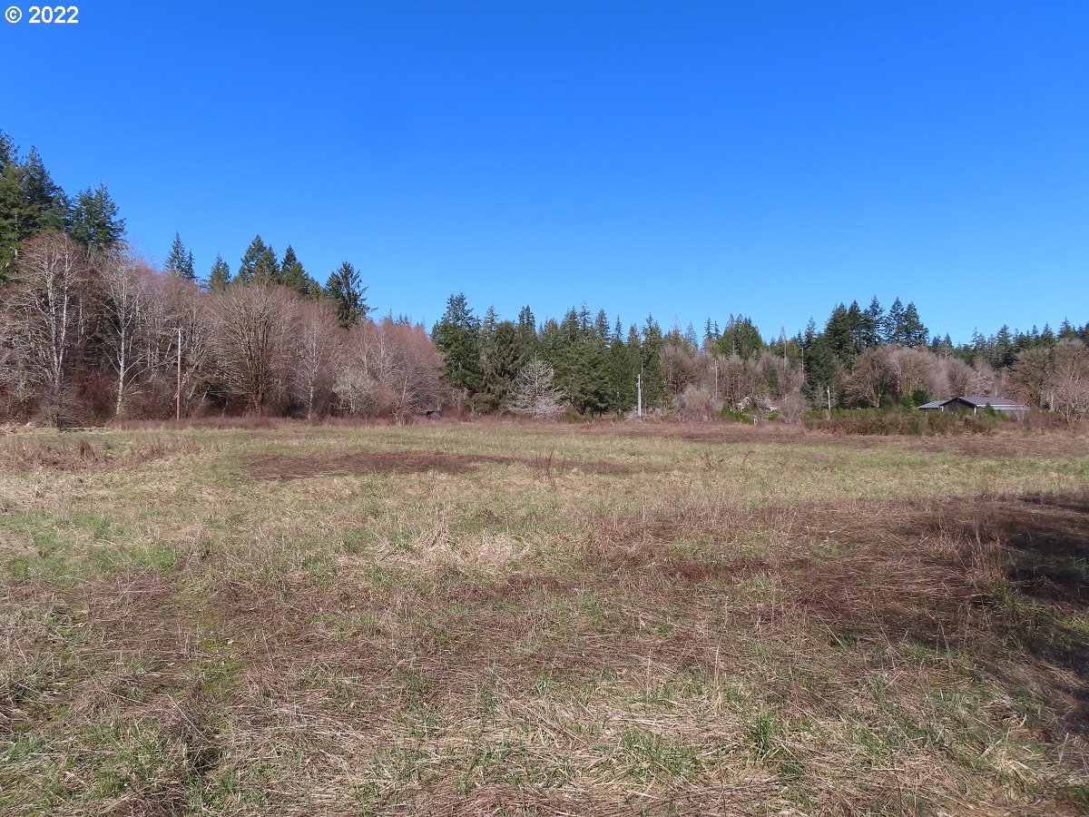 West Schafer Road Elma, WA 98541 - Photo 12 of 25 Gallery Image 12