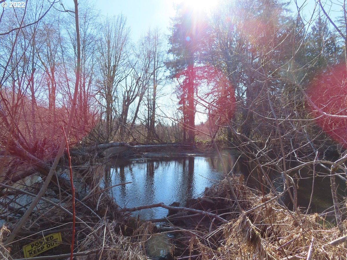 West Schafer Road Elma, WA 98541 - Photo 13 of 25 Gallery Image 13