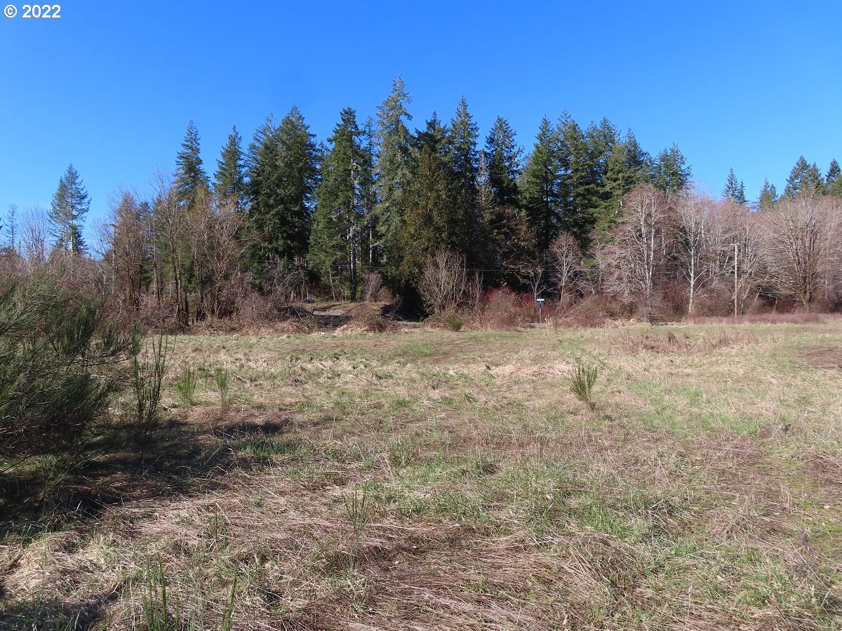 West Schafer Road Elma, WA 98541 - Photo 14 of 25 Gallery Image 14
