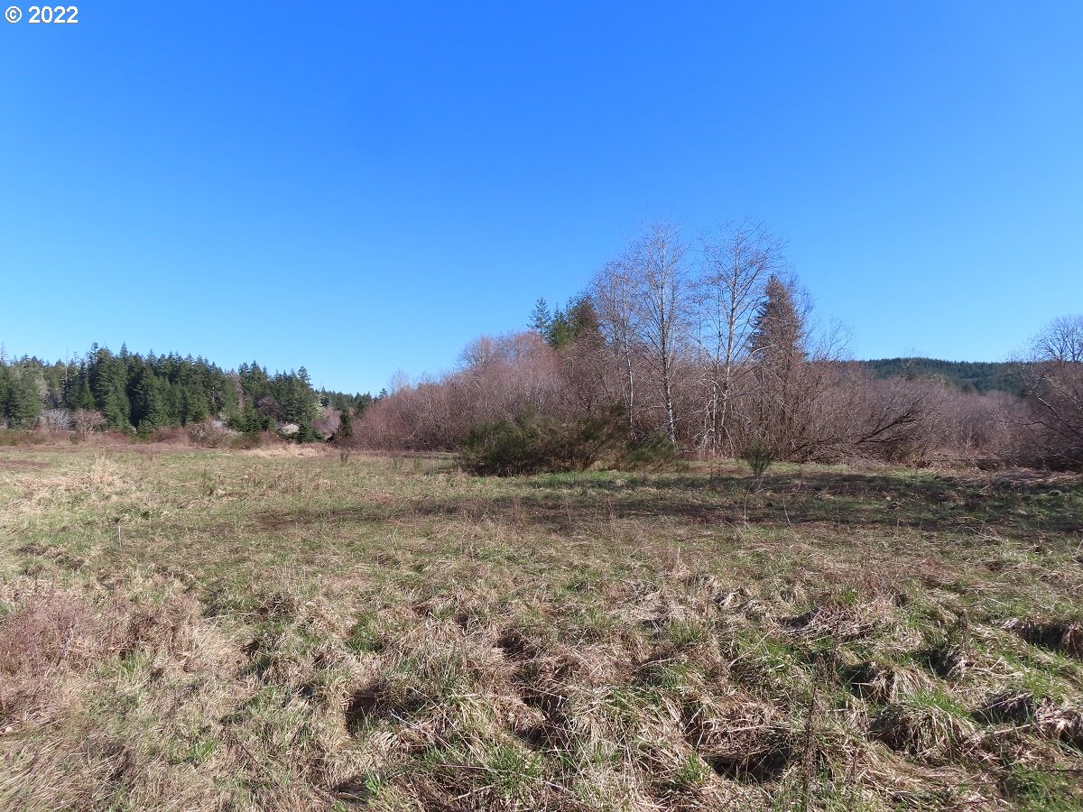 West Schafer Road Elma, WA 98541 - Photo 15 of 25 Gallery Image 15