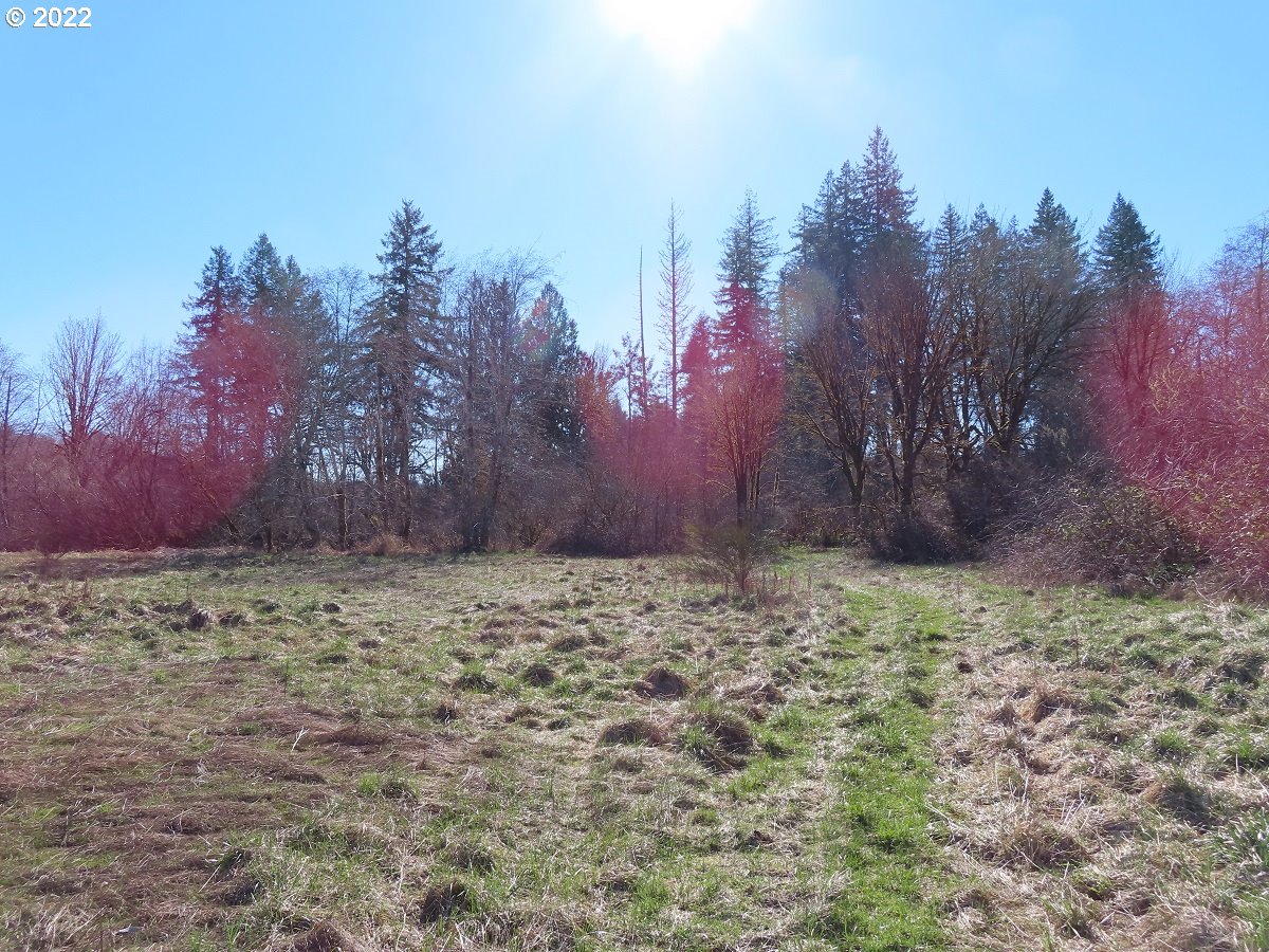 West Schafer Road Elma, WA 98541 - Photo 16 of 25 Gallery Image 16